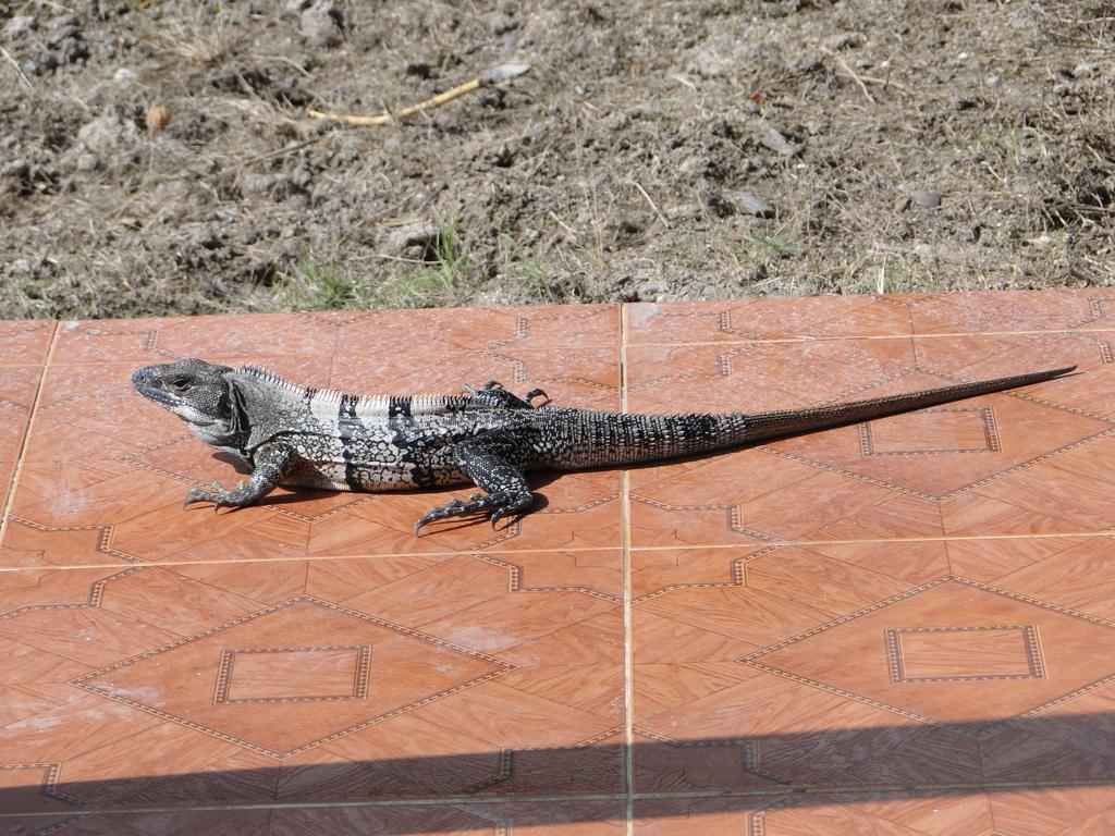 Posada Sunshine Paradise Providencia Island ภายนอก รูปภาพ