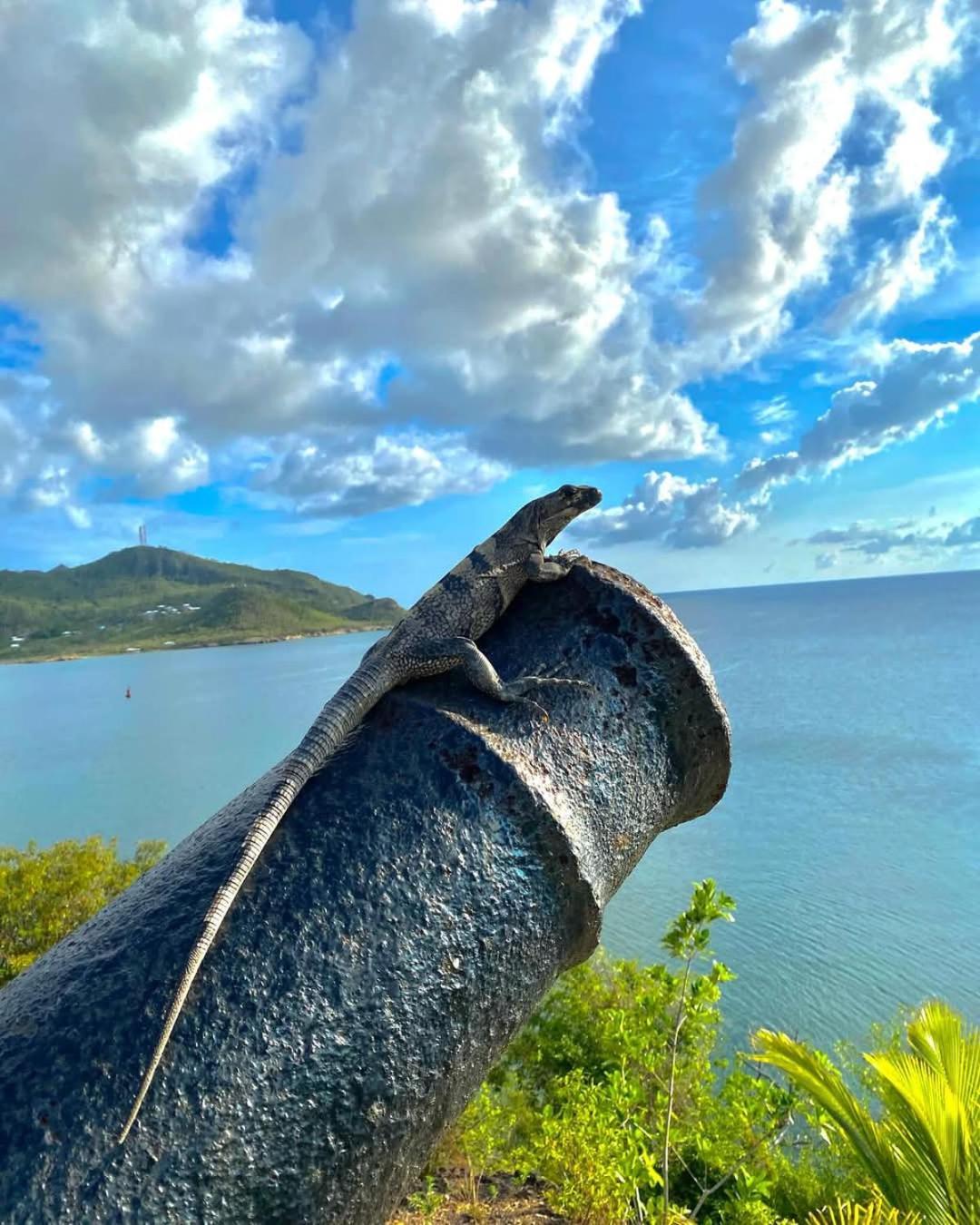 Posada Sunshine Paradise Providencia Island ภายนอก รูปภาพ