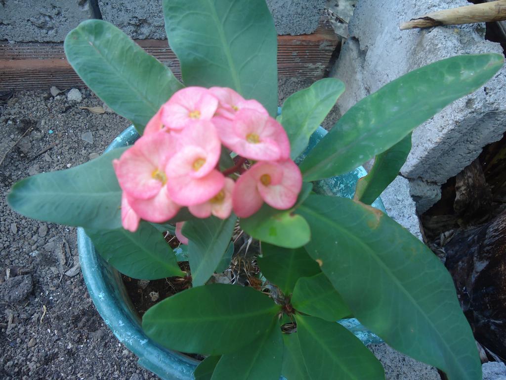 Posada Sunshine Paradise Providencia Island ภายนอก รูปภาพ