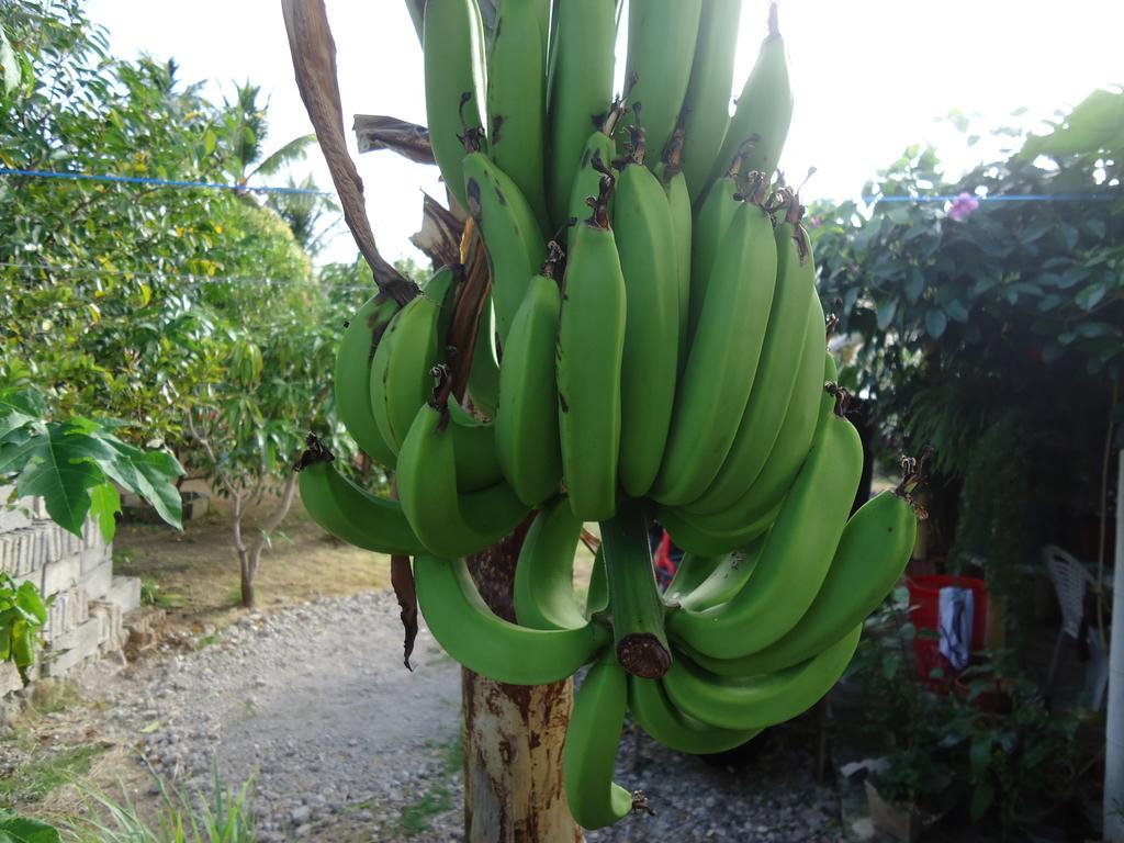 Posada Sunshine Paradise Providencia Island ภายนอก รูปภาพ