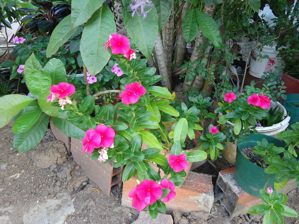 Posada Sunshine Paradise Providencia Island ภายนอก รูปภาพ