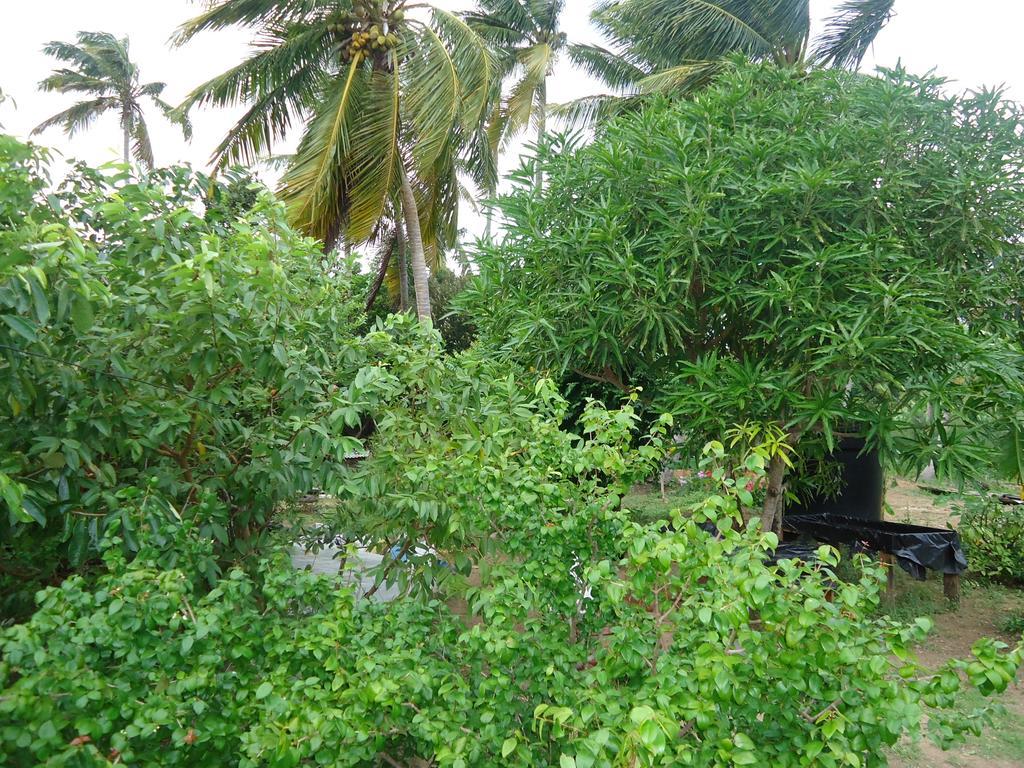 Posada Sunshine Paradise Providencia Island ภายนอก รูปภาพ