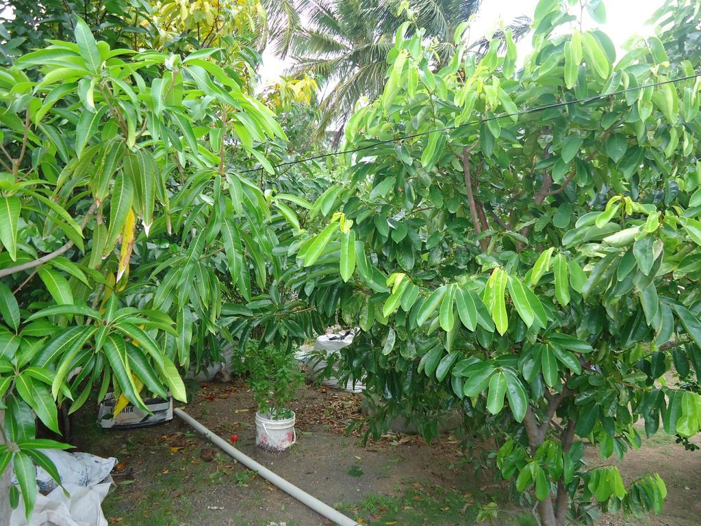 Posada Sunshine Paradise Providencia Island ภายนอก รูปภาพ
