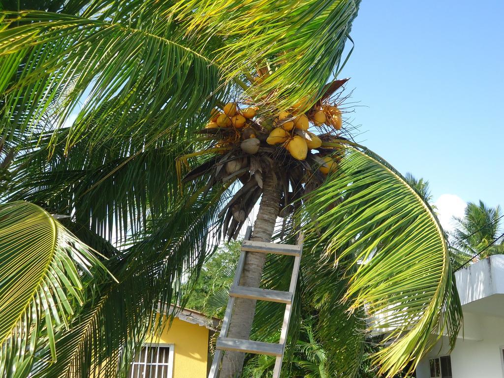 Posada Sunshine Paradise Providencia Island ภายนอก รูปภาพ