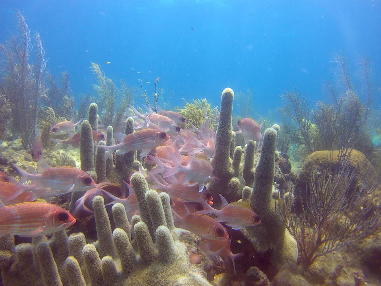 Posada Sunshine Paradise Providencia Island ภายนอก รูปภาพ